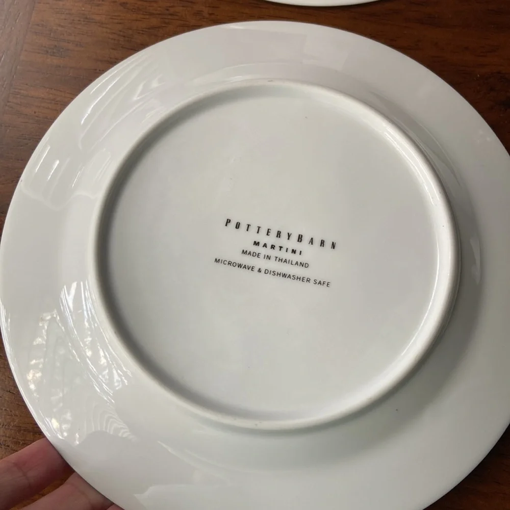 POTTERY BARN SET APPETIZER MARTINI PLATES THEMED